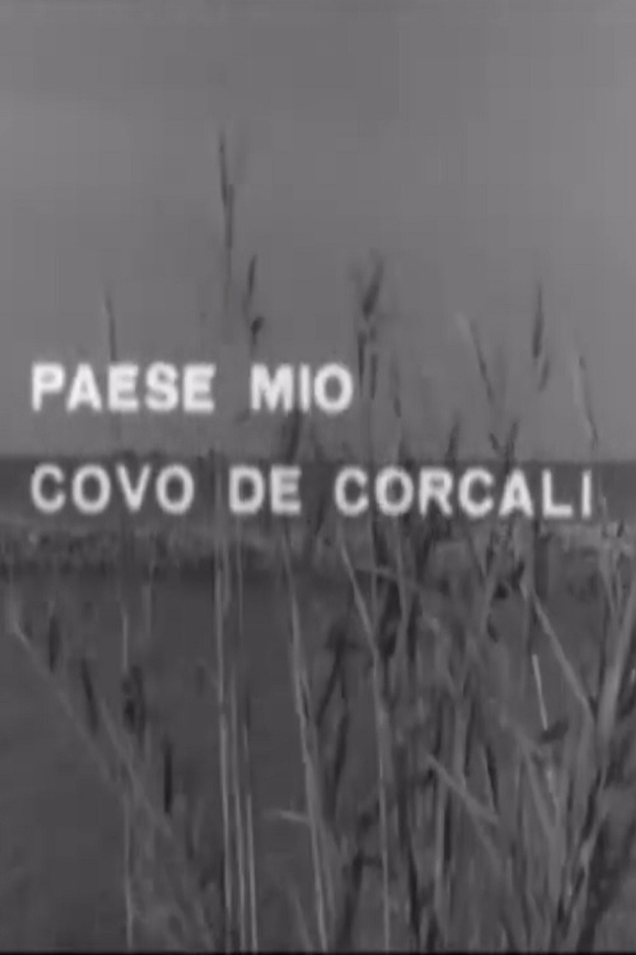 Paese mio covo de' corcali filmaffisch