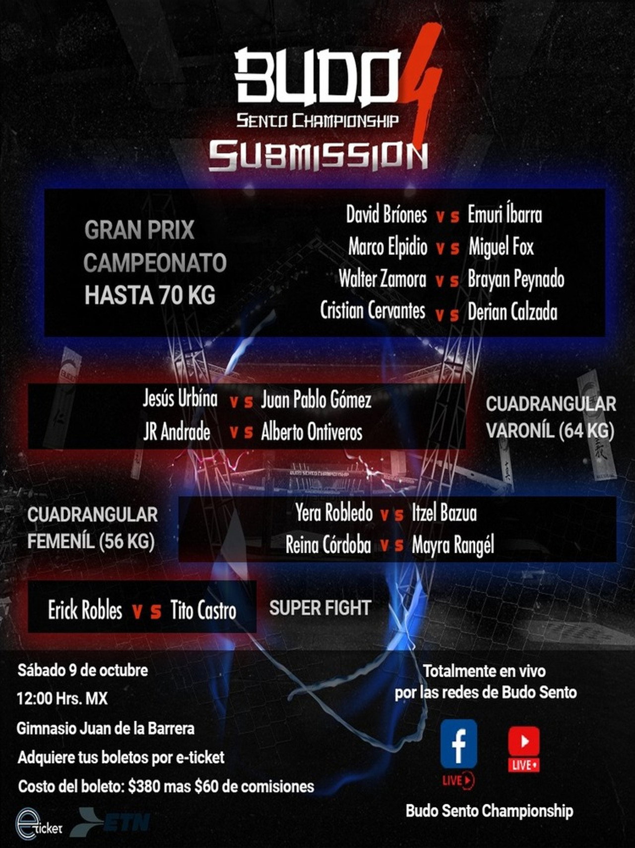 Budo Sento Championship 4 Backdrop
