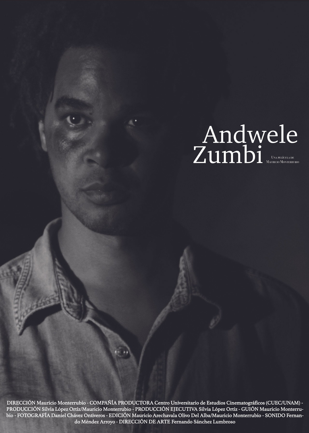 Andwele/Zumbi Backdrop