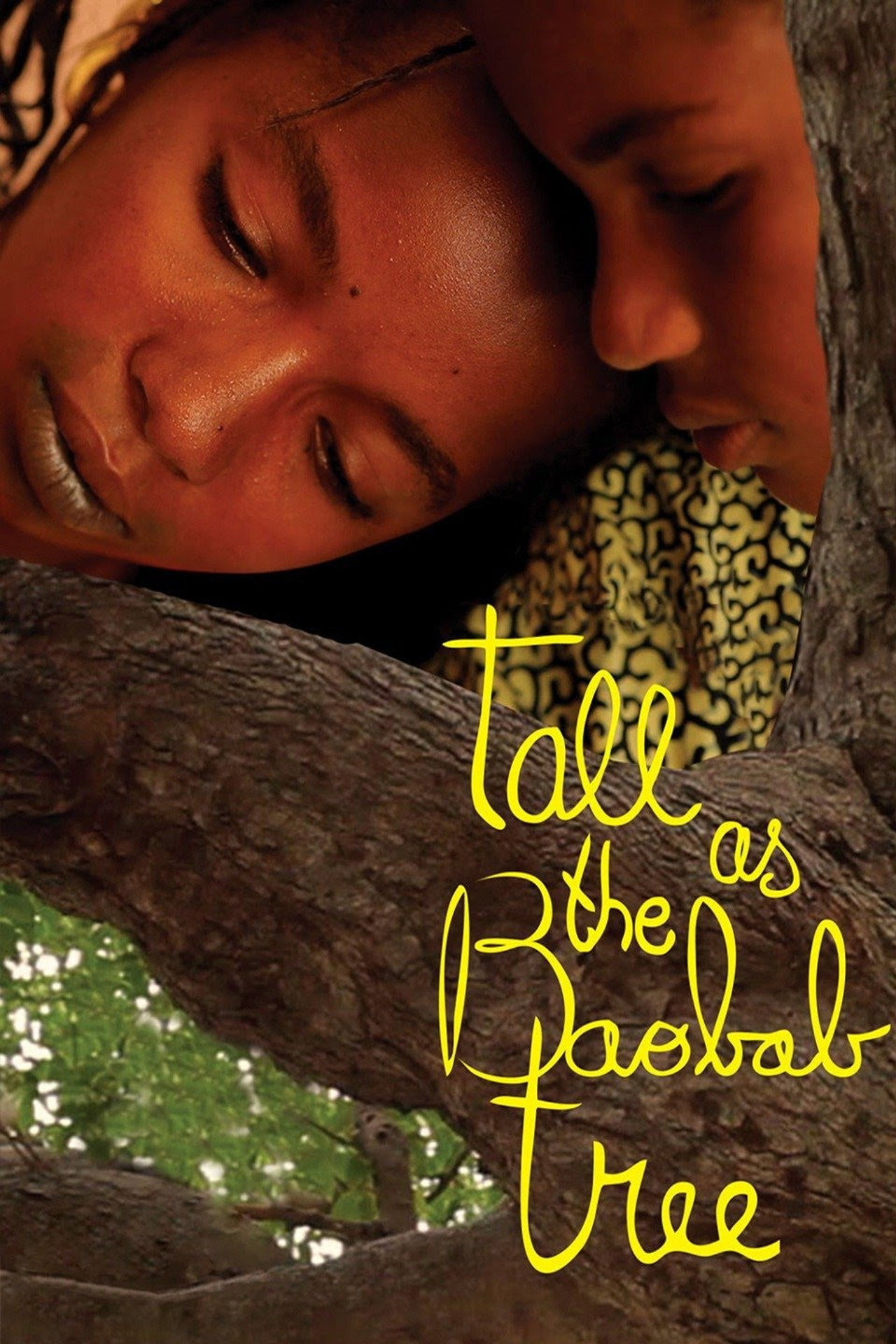 Grand comme le Baobab filmaffisch