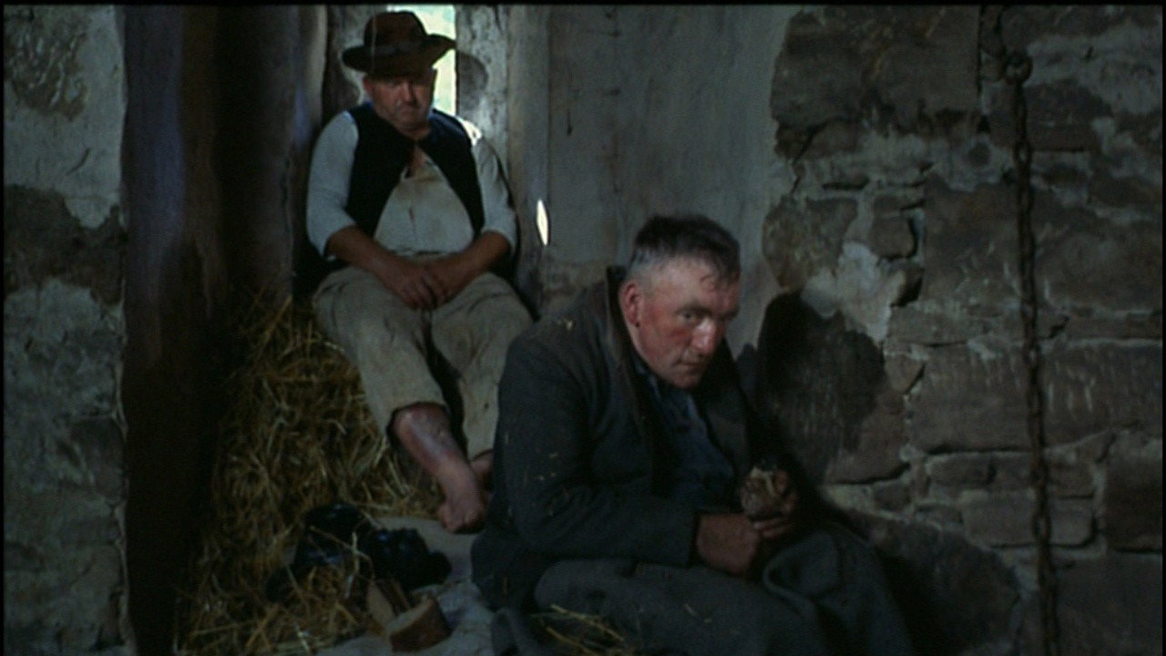 scenes 11