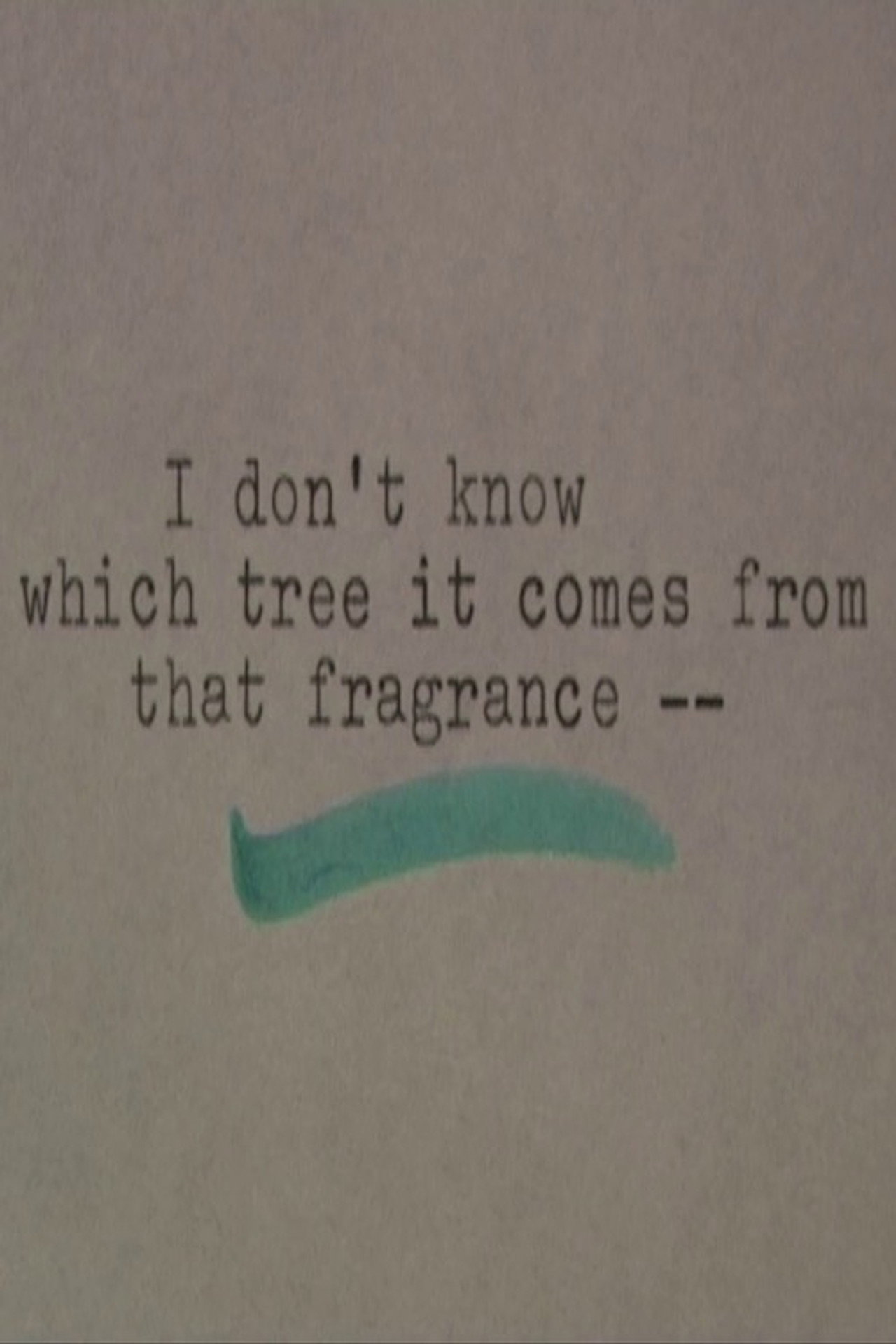 I Don't Know Which Tree It Comes From that Fragrance Backdrop