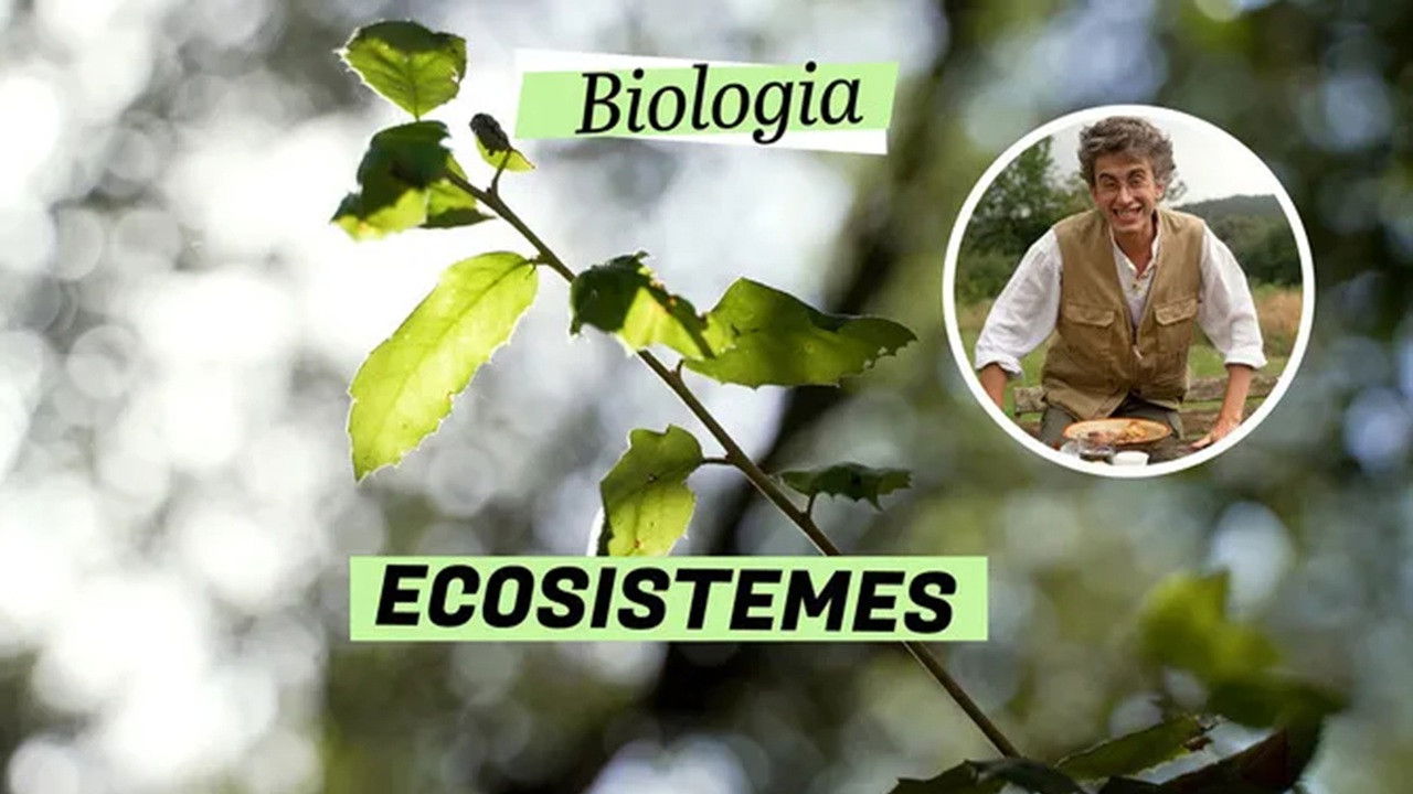 Biologia — Épisode 2