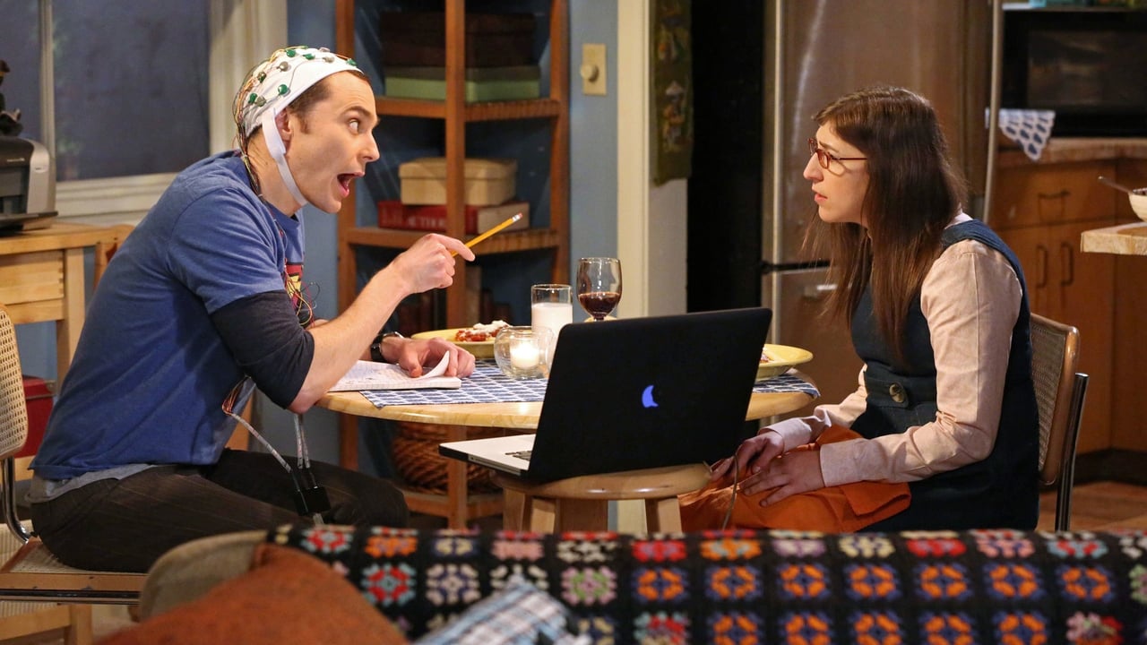 The Big Bang Theory - Season 8 Episode 13 : The Anxiety Optimization