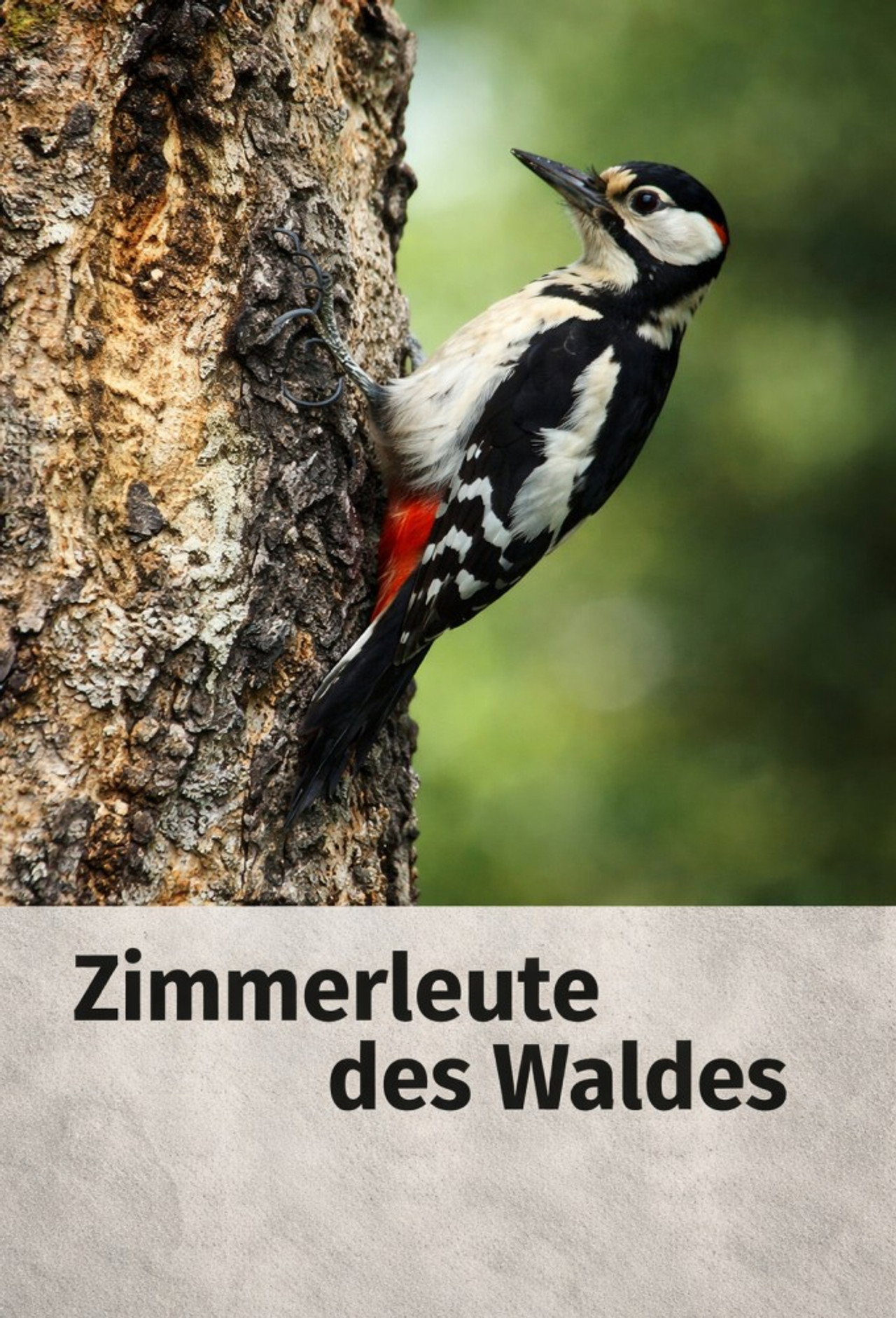 Zimmerleute des Waldes filmaffisch