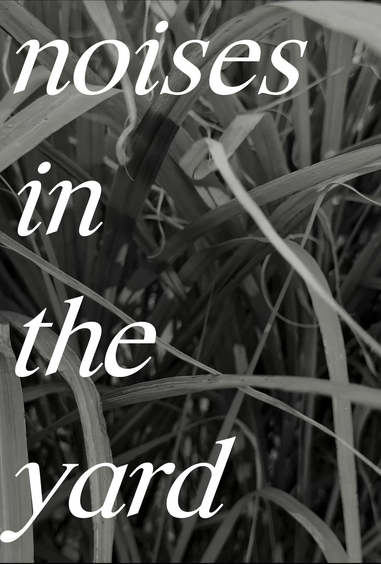 Noises In The Yard – plakát 1