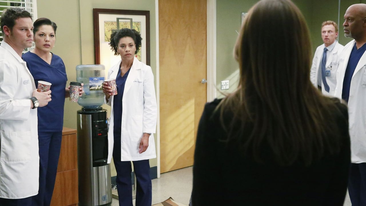 Grey's Anatomy - Season 11 Episode 22 : She's Leaving Home