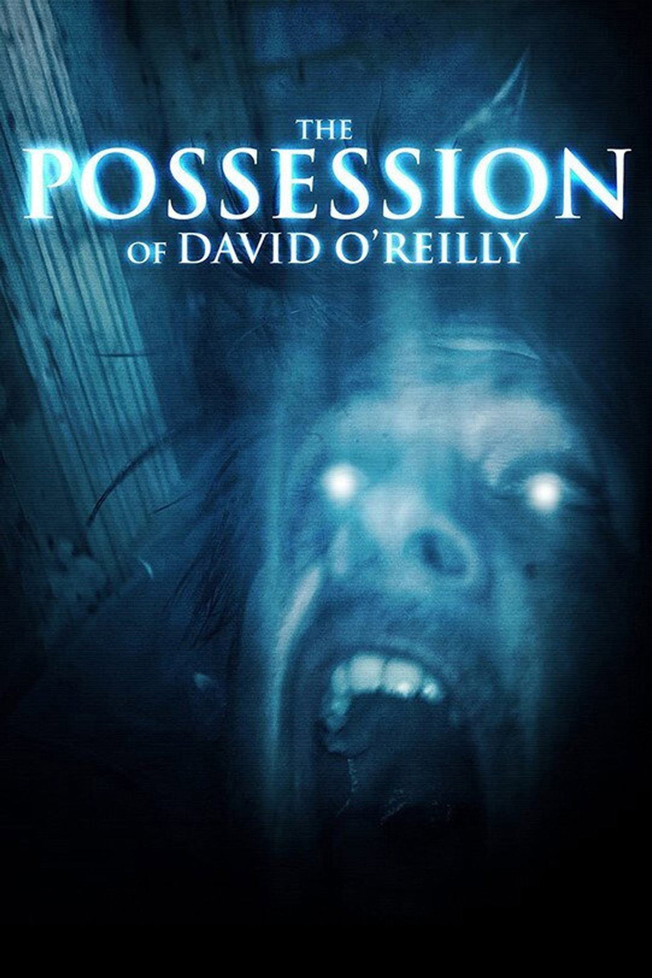 The Possession of David O'Reilly poster