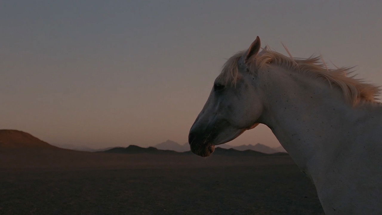 The Desert of the Tartars backdrop