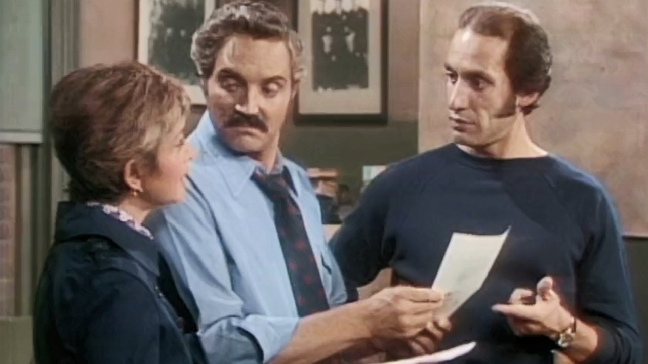 Barney Miller - Season 2 Episode 2 : The Social Worker