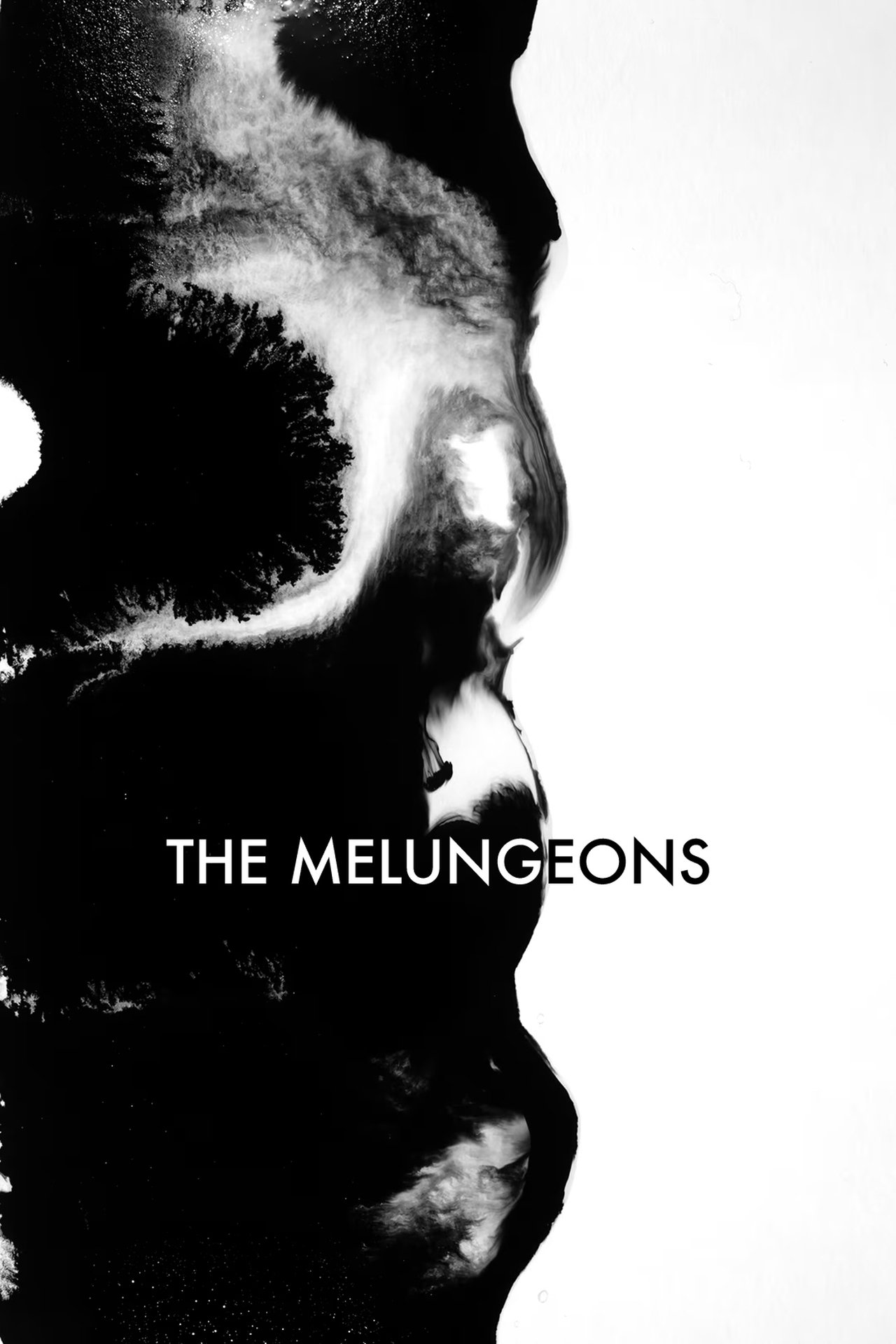 The Melungeons The Melungeons