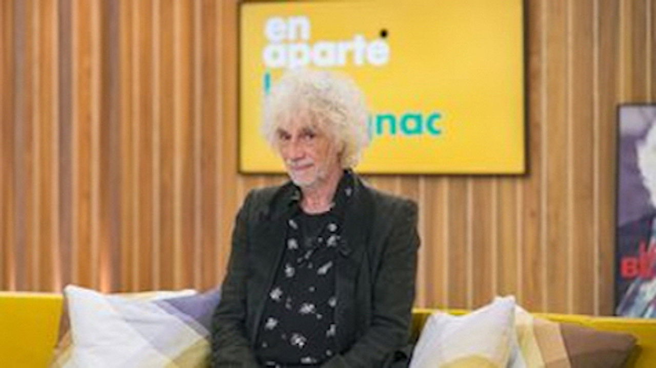 En aparté — Louis Bertignac