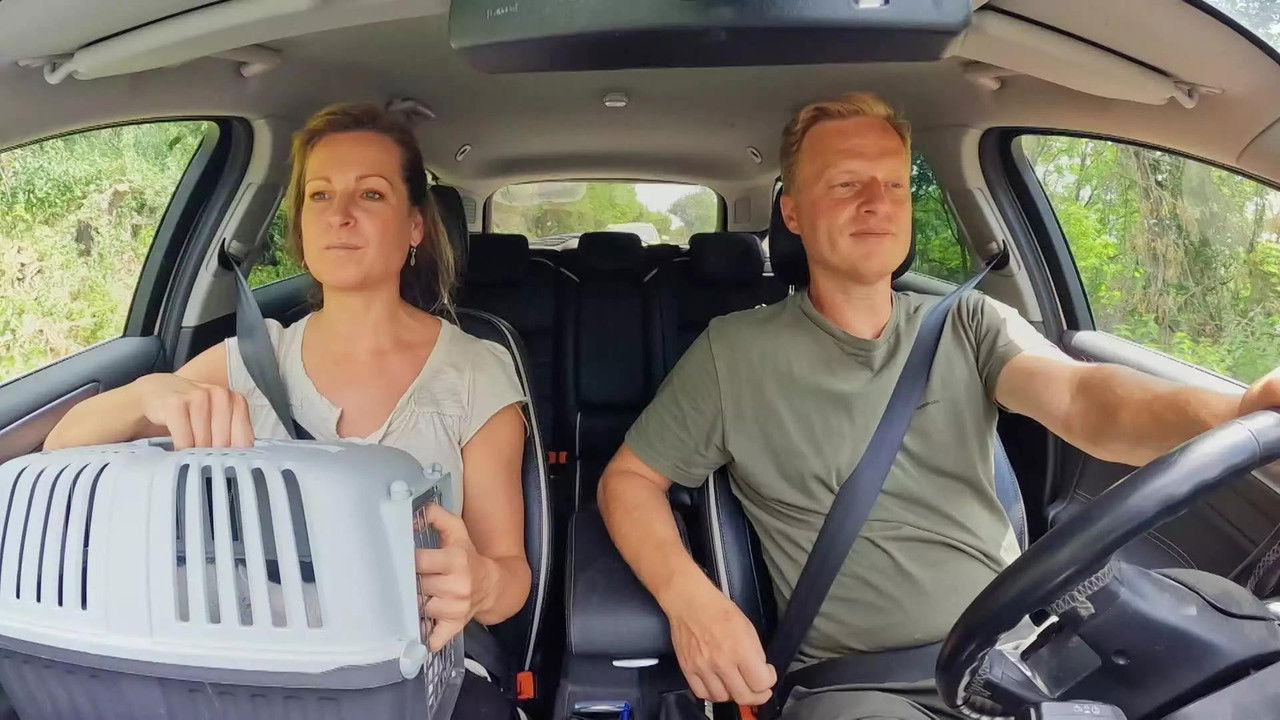 Házasodna a gazda — Épisode 7