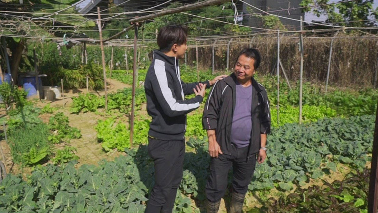 香港原味道 — Épisode 12