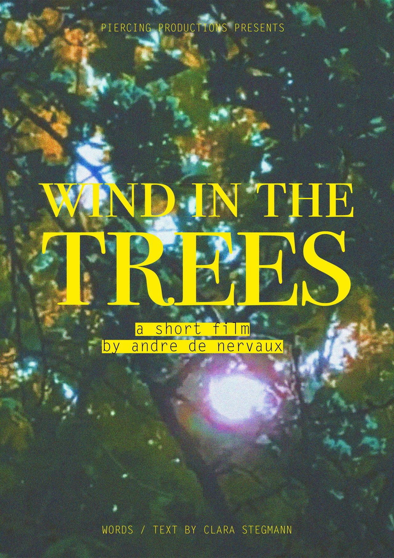 Wind in the Trees filmaffisch