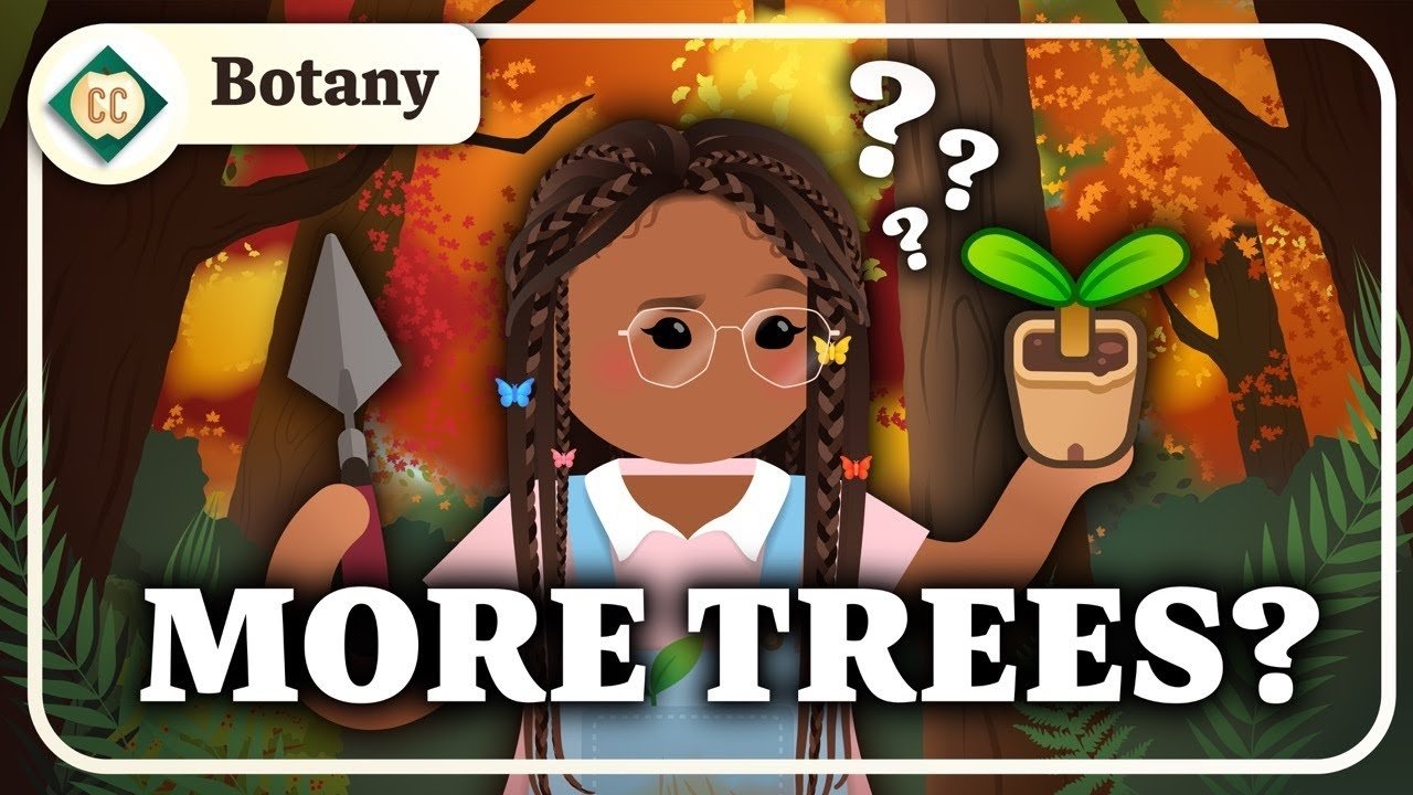 Can Planting Trees Fix Climate Change? (Plants & Biomes)
