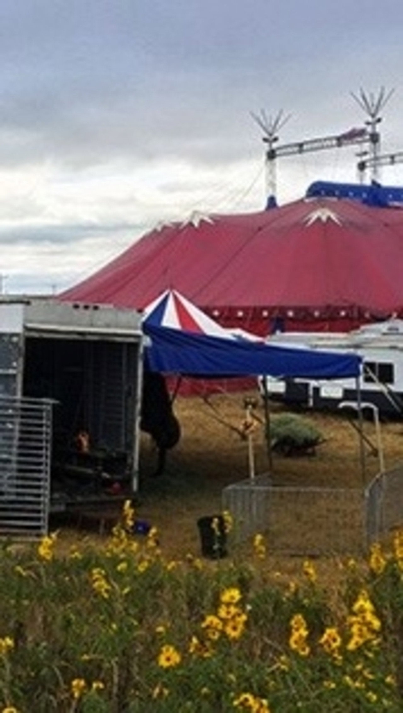 Circus City, USA