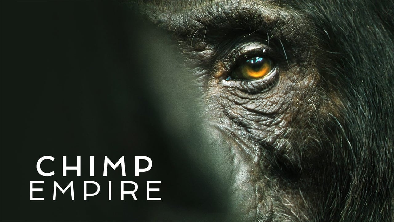 Chimp Empire background