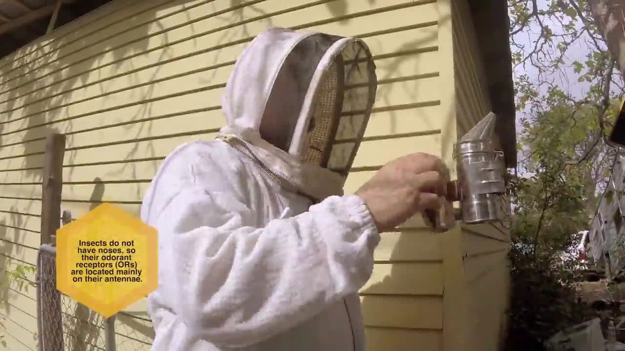 Charlie Bee Company — Épisode 5