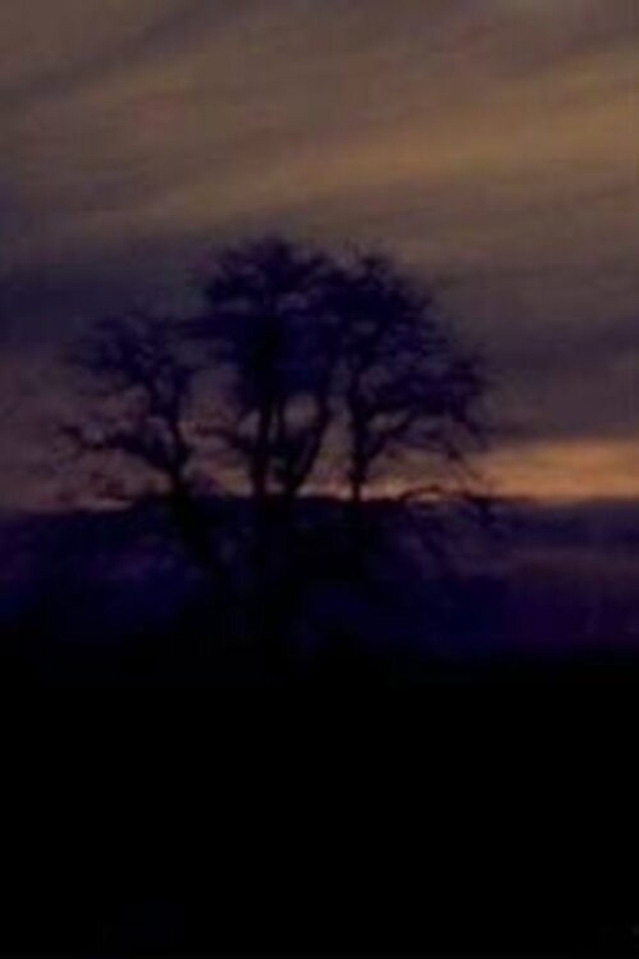 One Dream filmaffisch