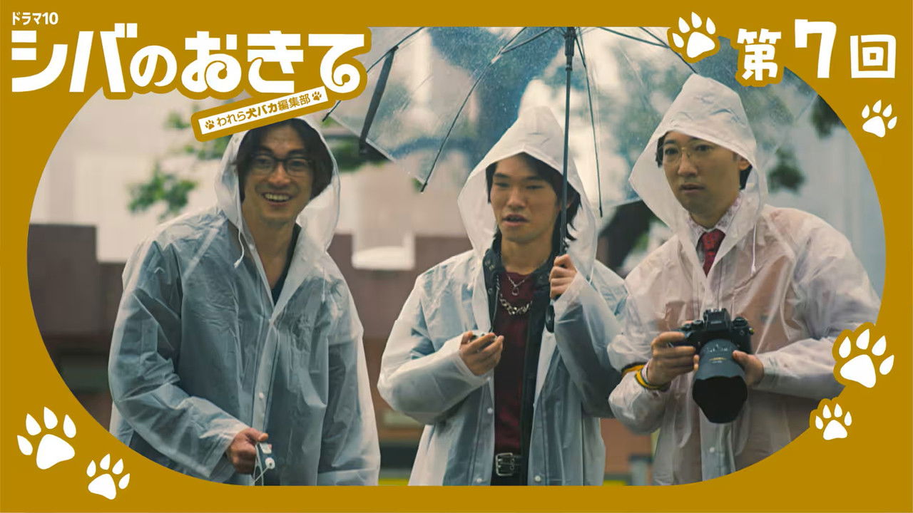 Shiba no Okite: Warera Inu Baka Henshu Bu - Season 1 Episode 7 : Episode 7