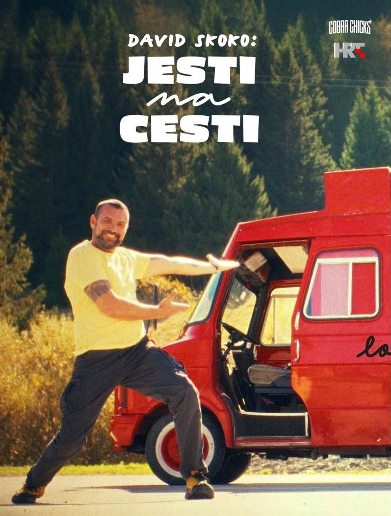 David Skoko: Jesti na cesti affisch