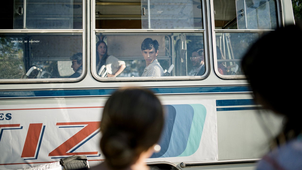 Wild Flamenco: Bambino's Story backdrop