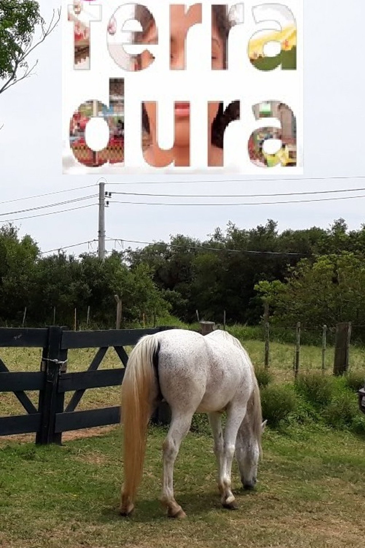 Ferradura filmaffisch