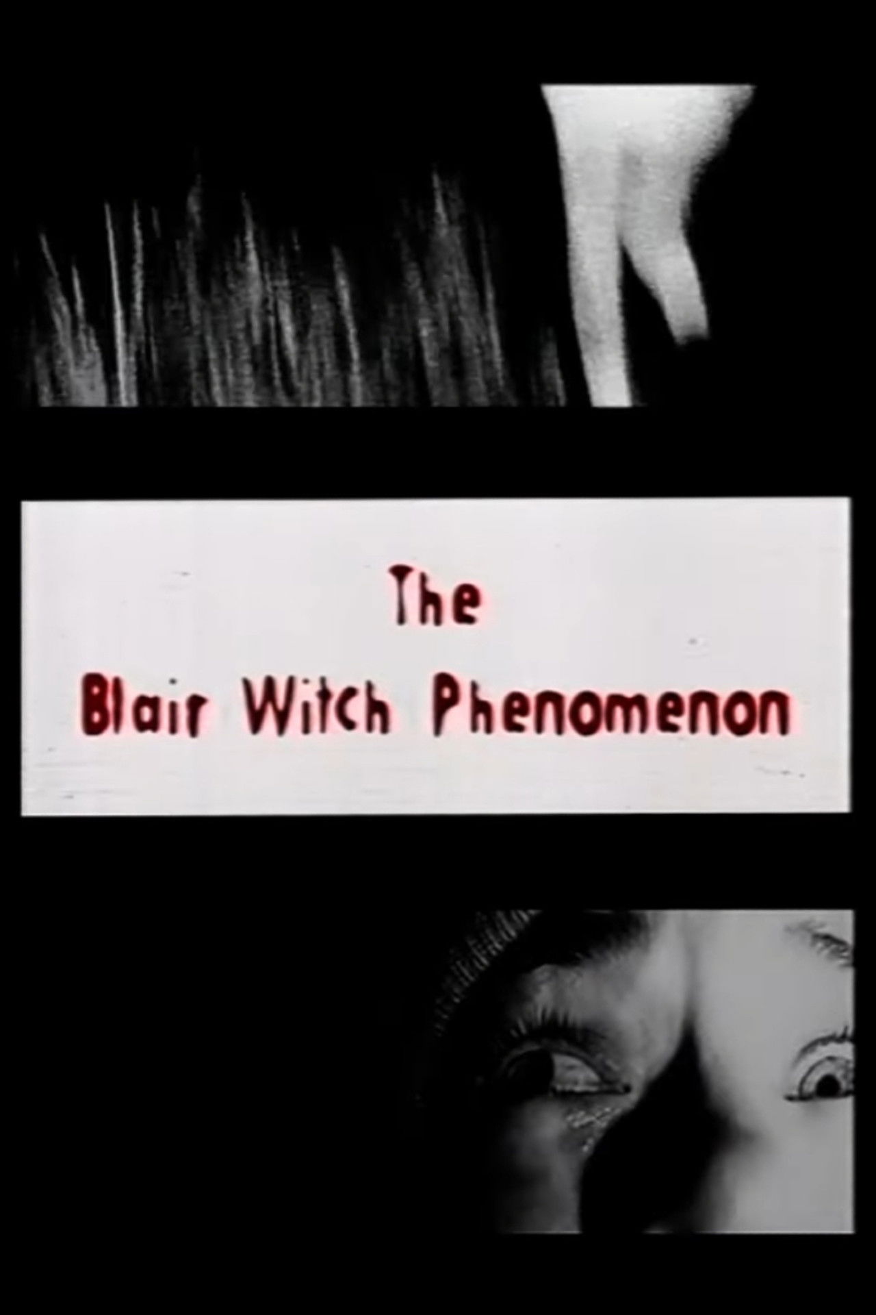 The Blair Witch Phenomenon Backdrop