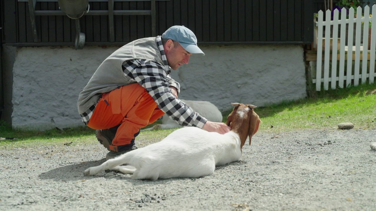 Farmen Kjendis — Épisode 2