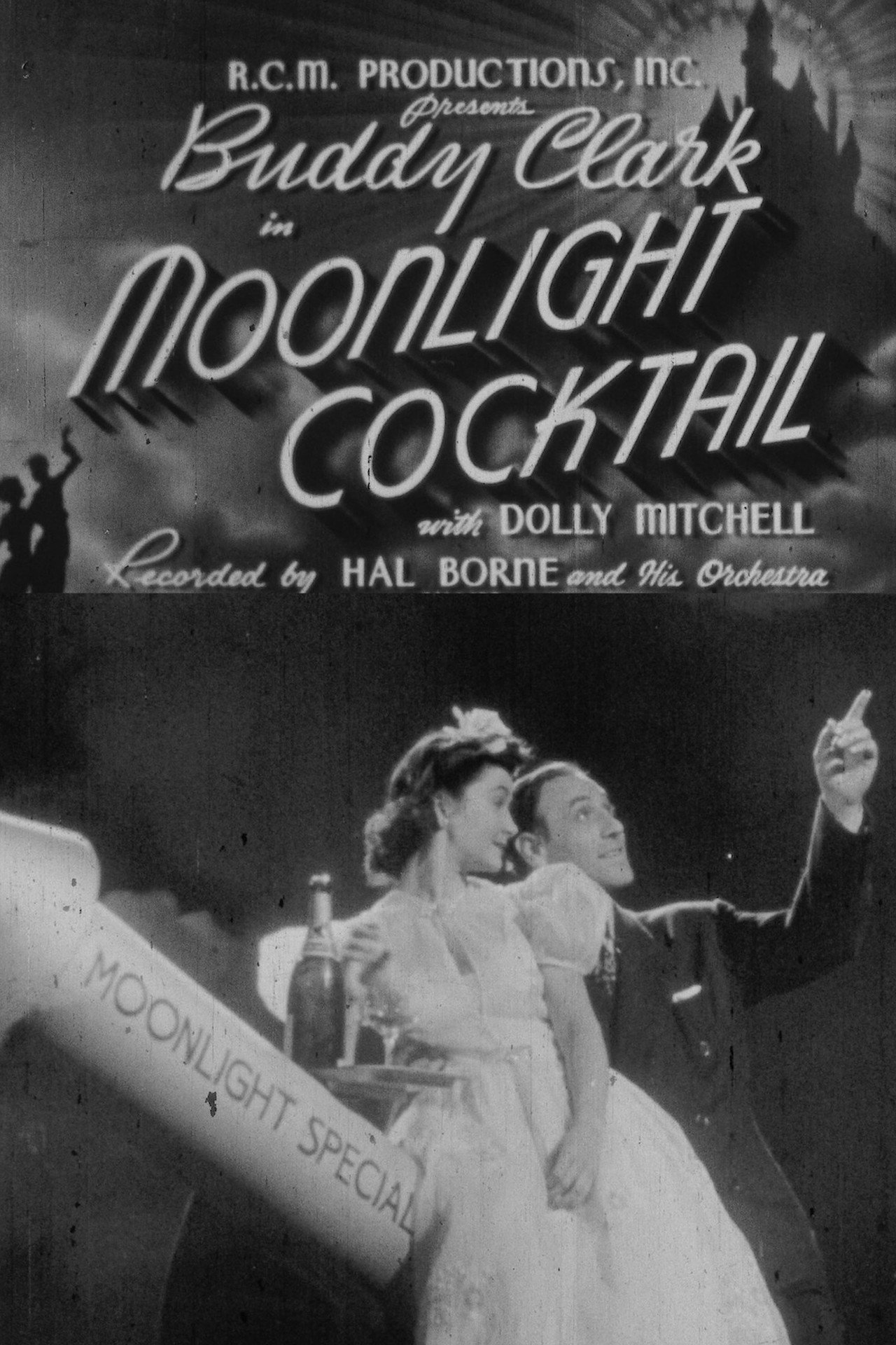 Moonlight Cocktail Backdrop