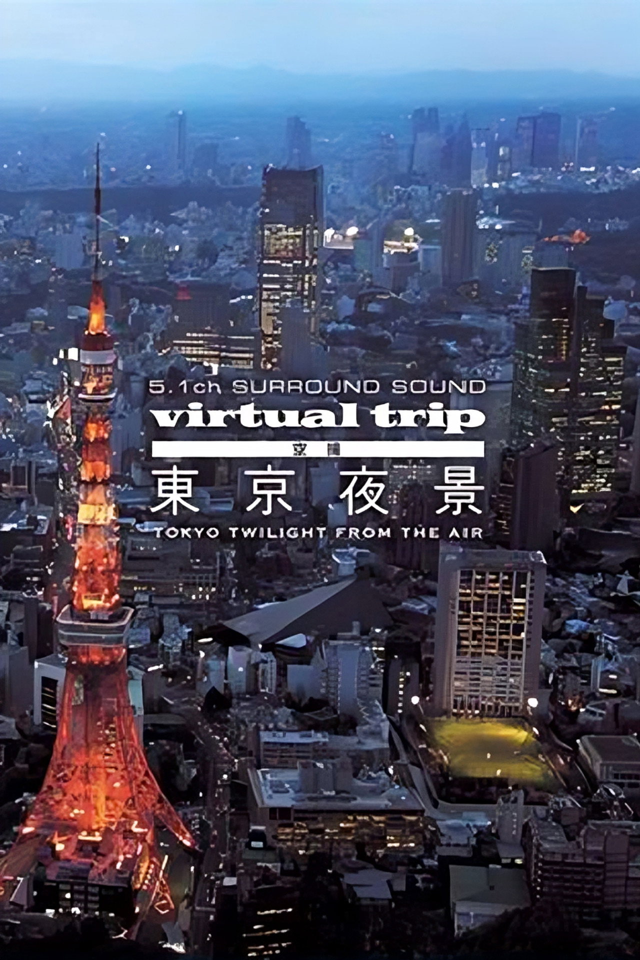 Virtual Trip: Tokyo Twilight from the Air poster