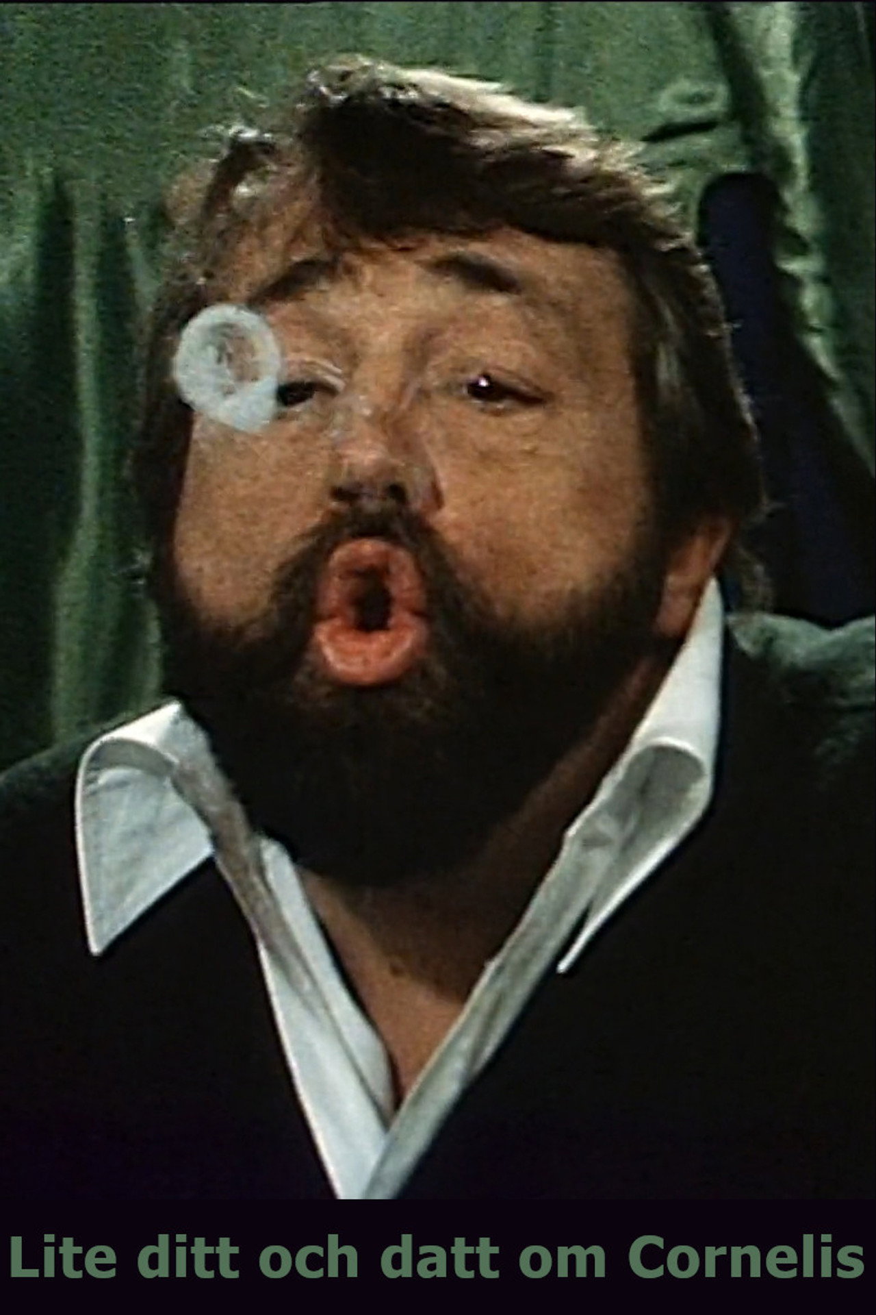 Lite ditt och datt om Cornelis filmaffisch
