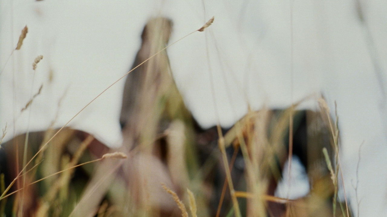 Merlin (2008) trailer