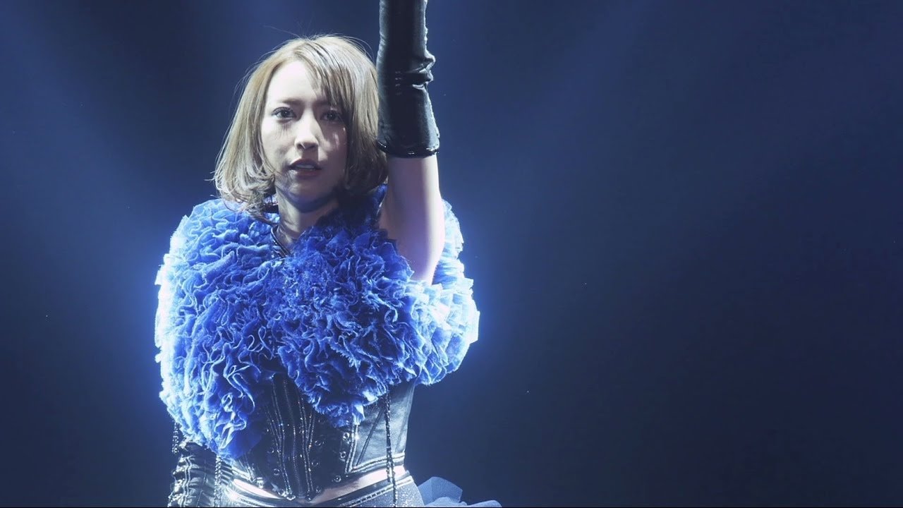 Eir Aoi 5th Anniversary Special Live 2016~LAST BLUE~at 日本武道館