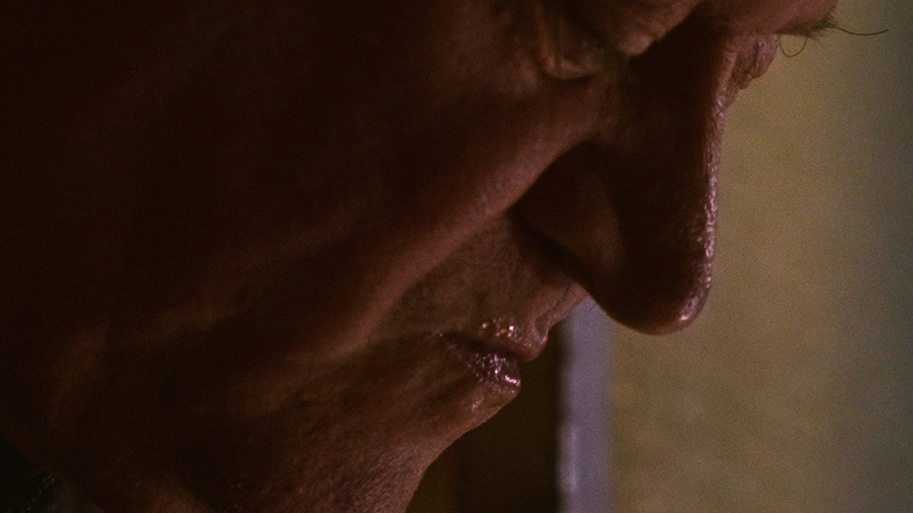 IDIOSINCRASIA still 2
