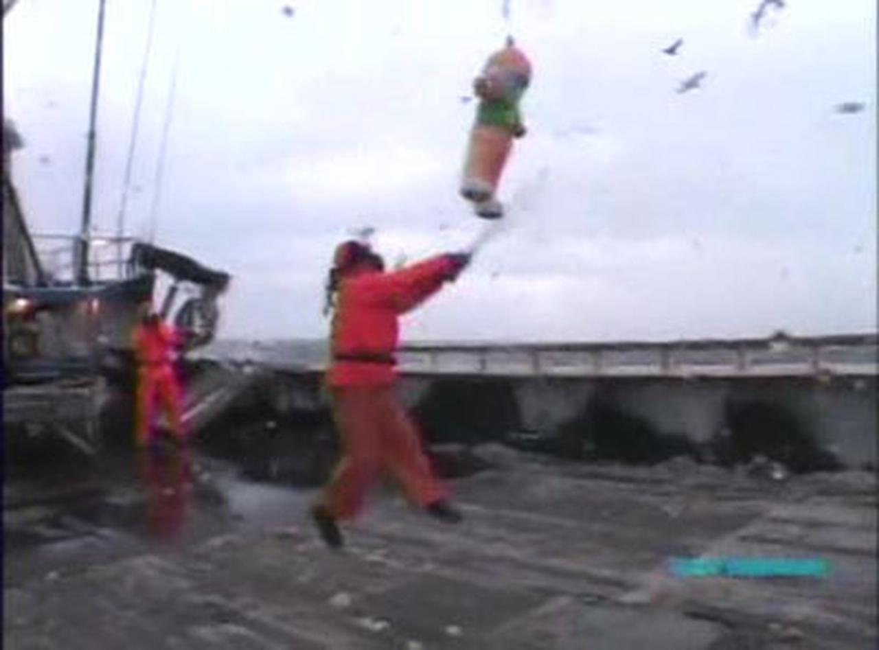 Man vs. Ice