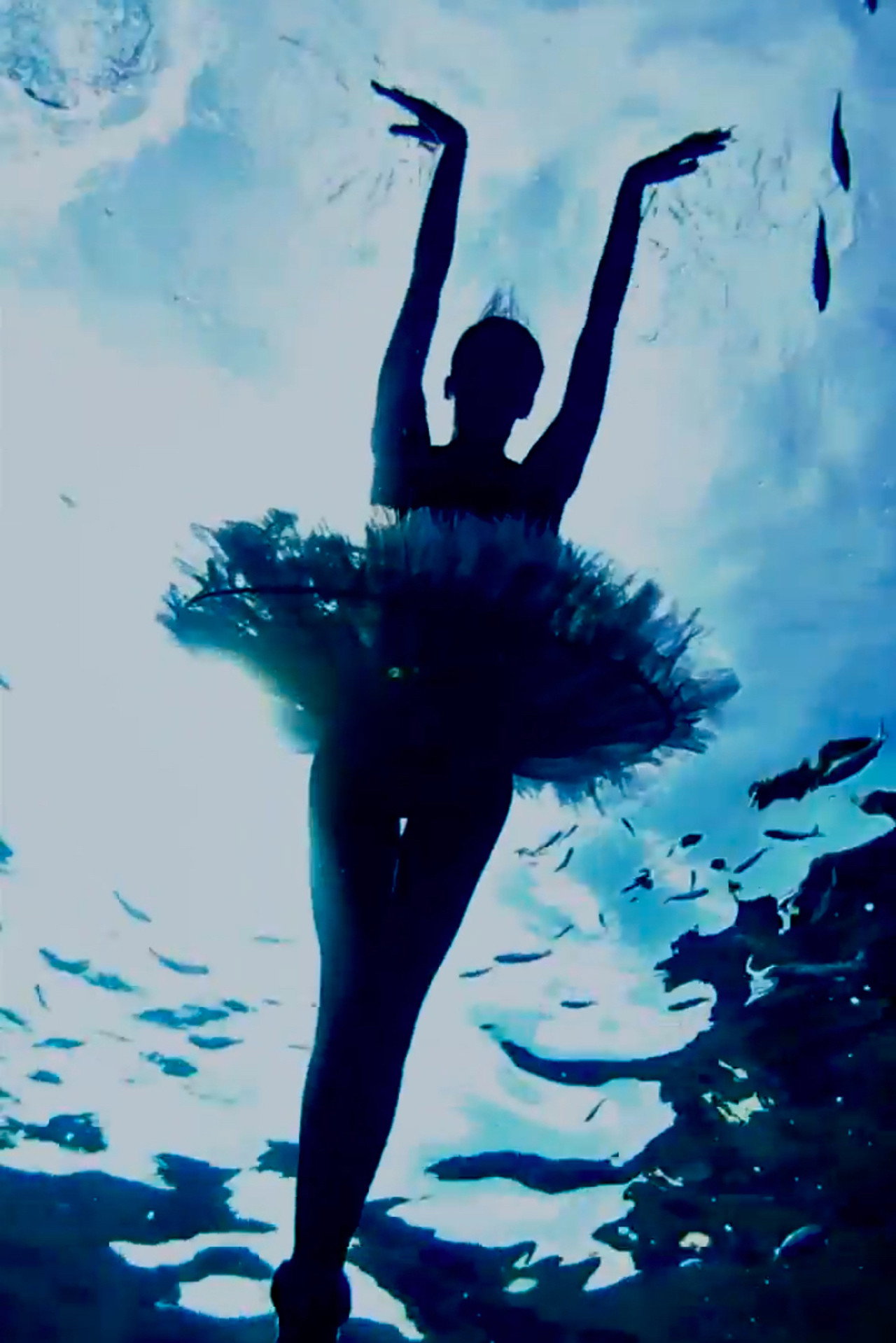 Bodrum Dream