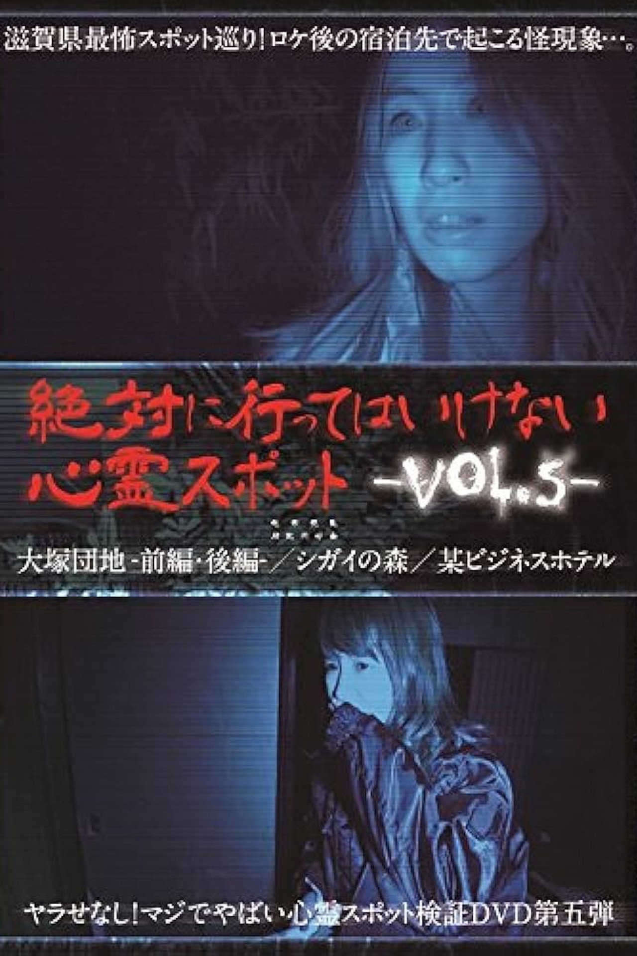 Absolutely Forbidden Haunted Spots Vol.5 poster