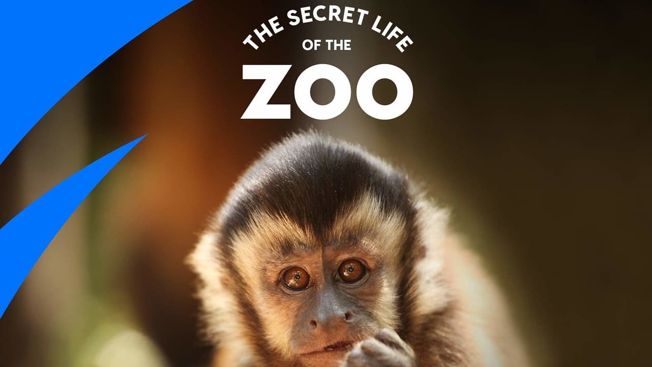 The Secret Life of the Zoo background