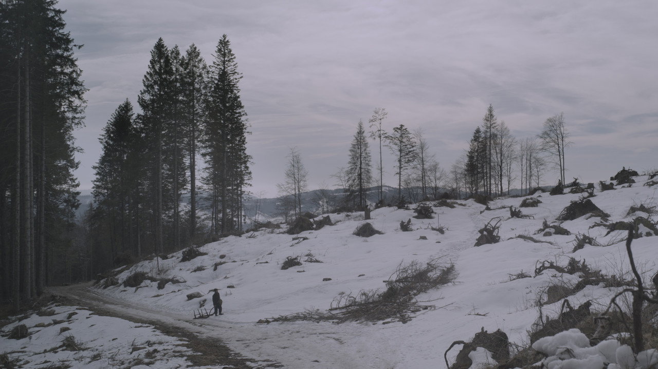 Fondo