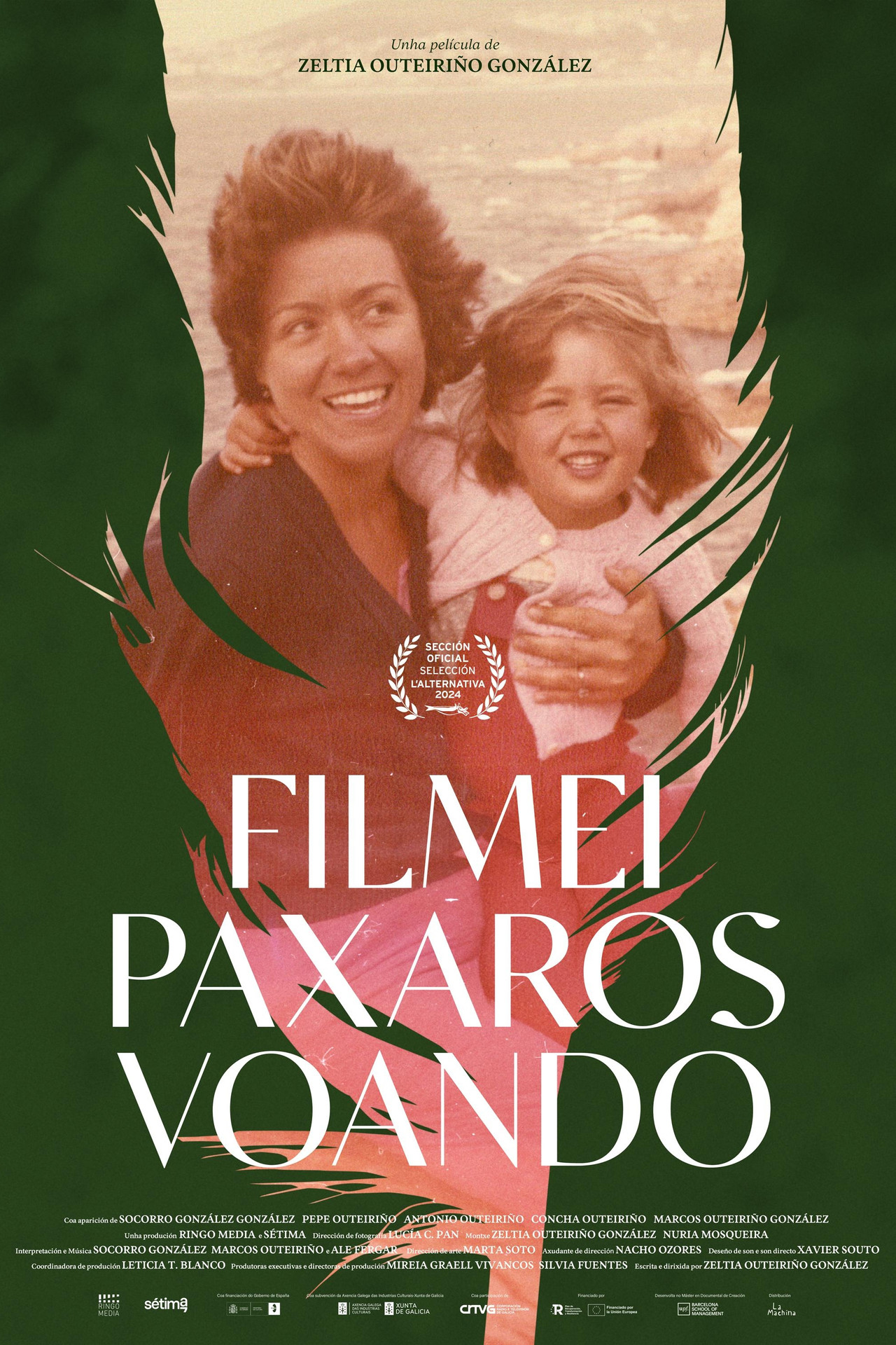 Filmei paxaros voando