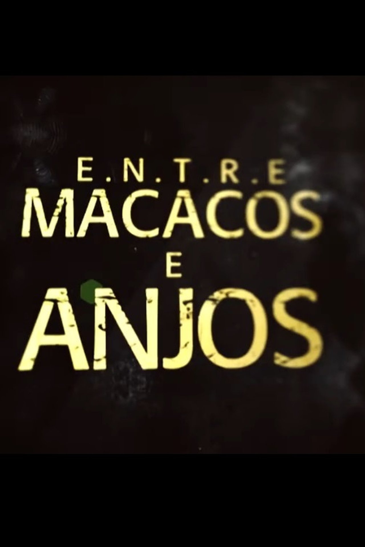 Entre Macacos e Anjos Entre Macacos e Anjos