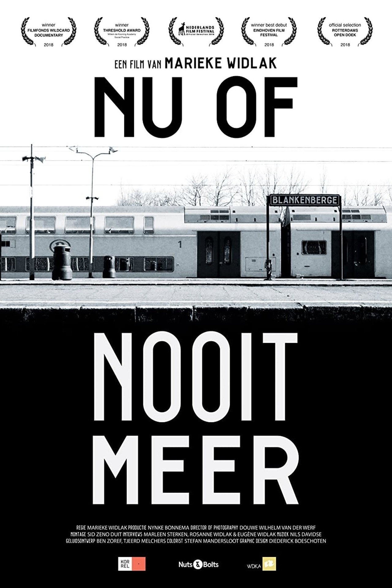 Now or Never Again (2018)