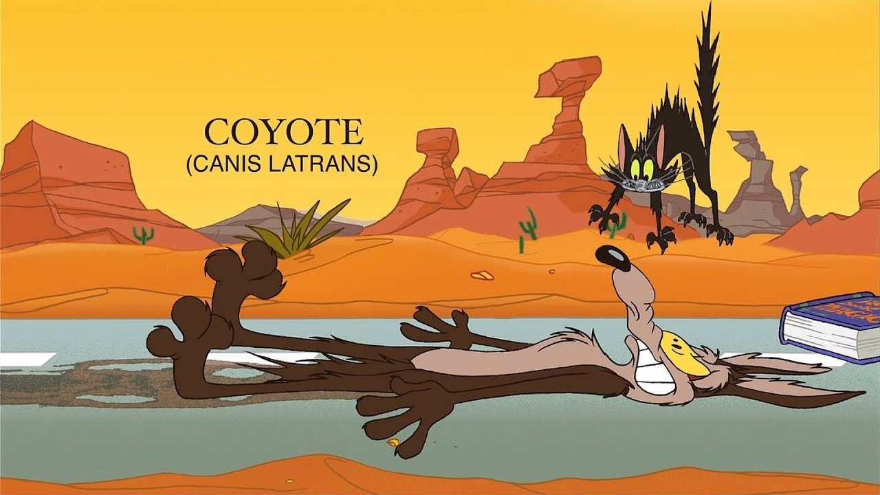 title image
