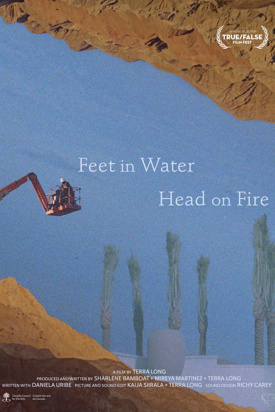 Feet in Water, Head on Fire poster