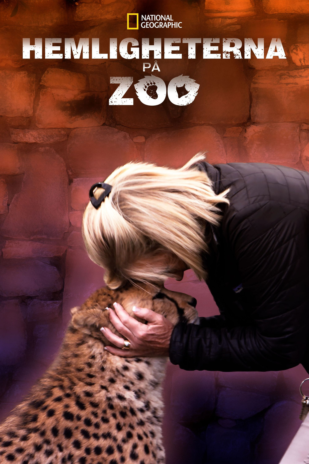 Hemligheterna på zoo affisch