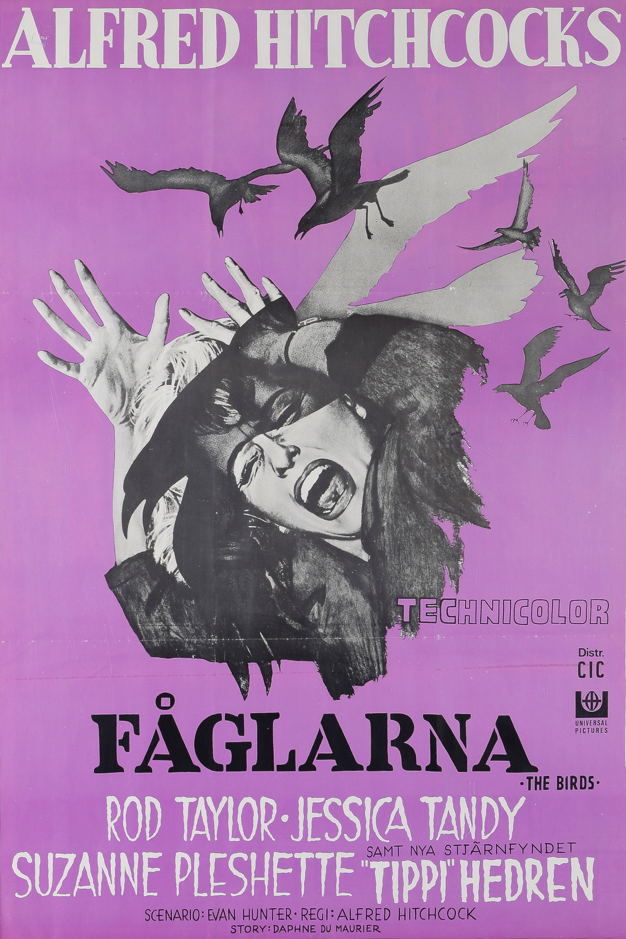 Fåglarna filmaffisch