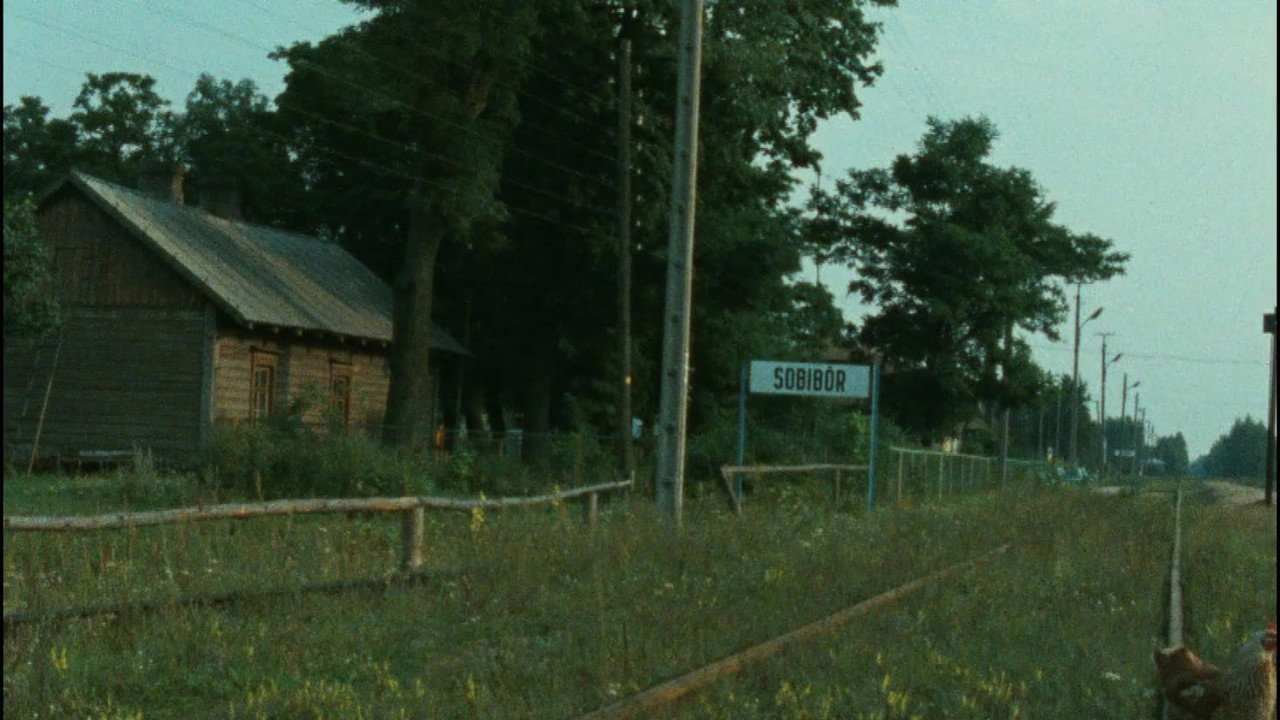Scene 3