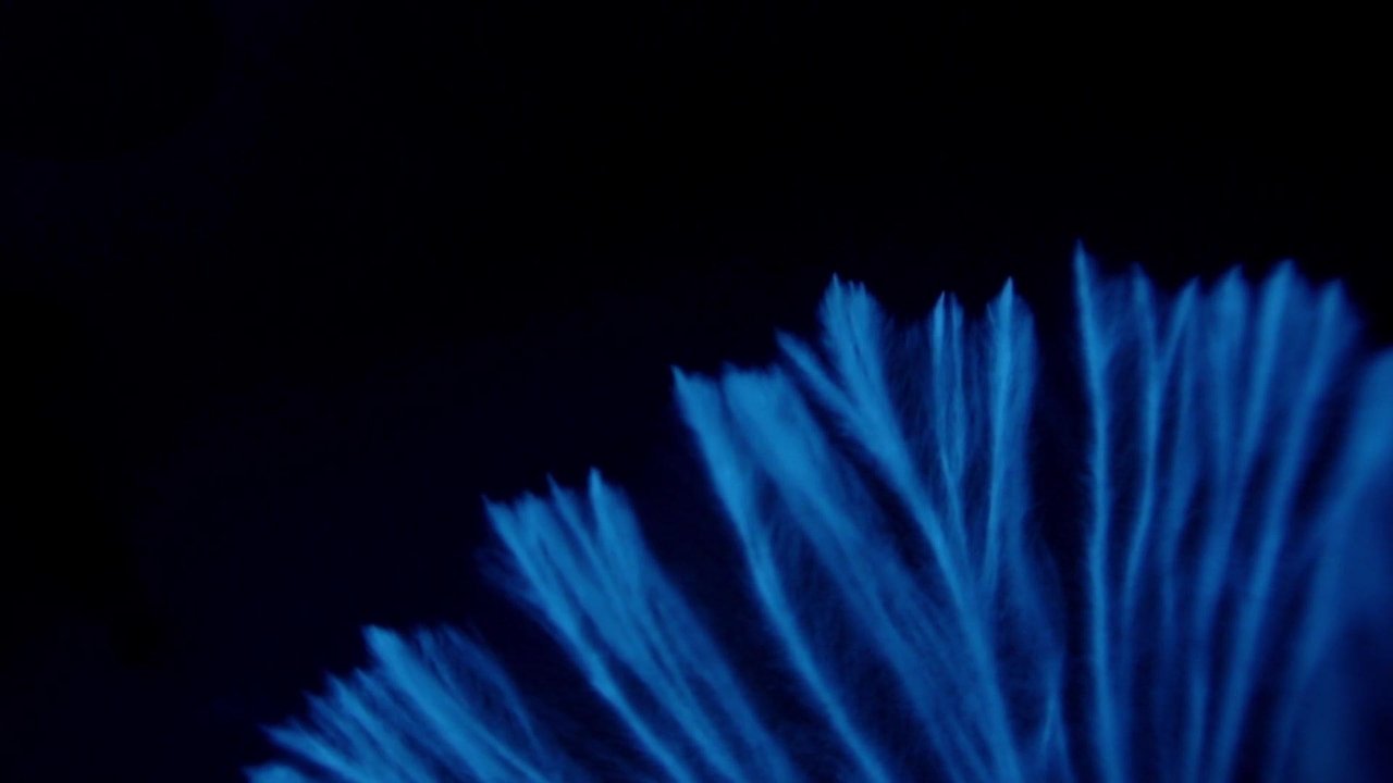 title image